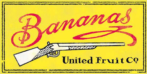 bananas fruits