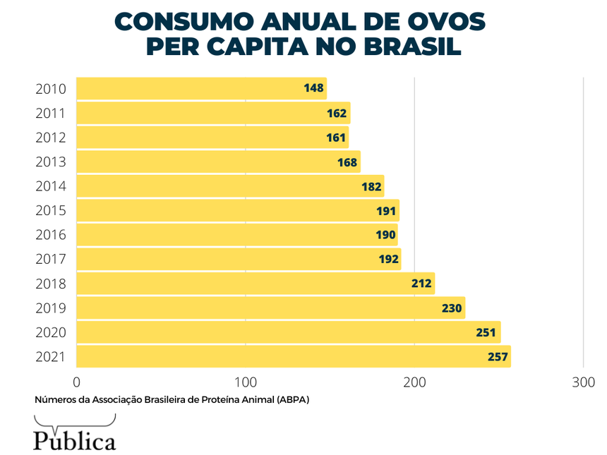 consumo ovo